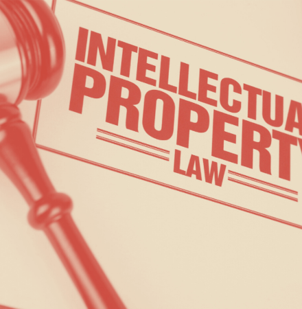 Information Claim in Industrial Property Law. Part 2
