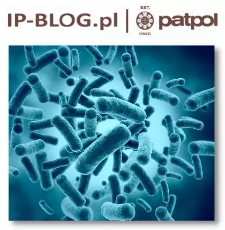 The beginnings of inventions in the field of biotechnology [Article on IP-Blog.pl]