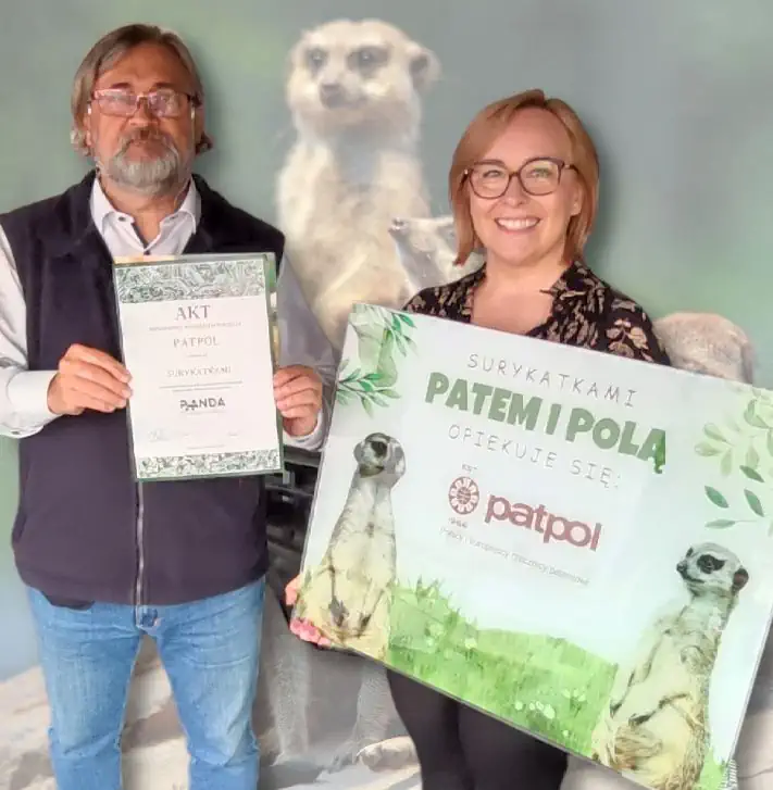 PATPOL wspiera Warszawskie ZOO – adoptujemy urocze surykatki!